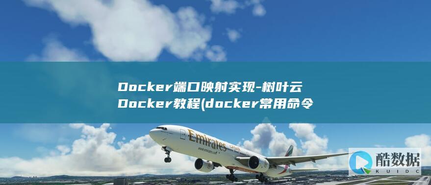 Docker端口映射实现-树叶云Docker教程 (docker常用命令)
