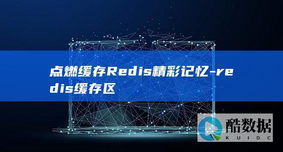 redis缓存区