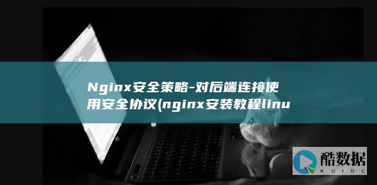 对后端连接使用安全协议