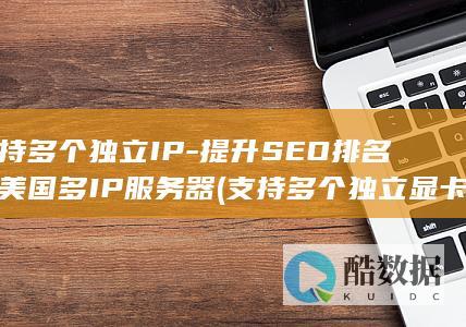 支持多个独立IP-提升SEO排名的美国多IP服务器 (支持多个独立显卡吗)
