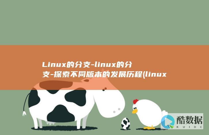 探索不同版本的发展历程