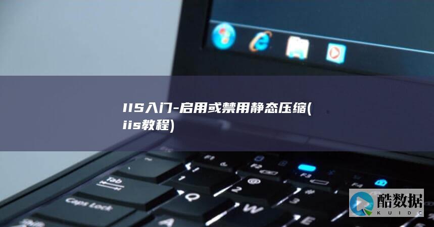 IIS入门-启用或禁用静态压缩 (iis 教程)