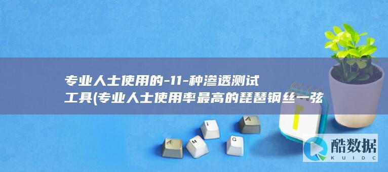 专业人士使用的-11-种渗透测试工具 (专业人士使用率最高的琵琶钢丝一弦是哪一种)