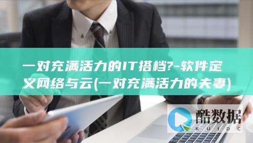 一对充满活力的IT搭档?