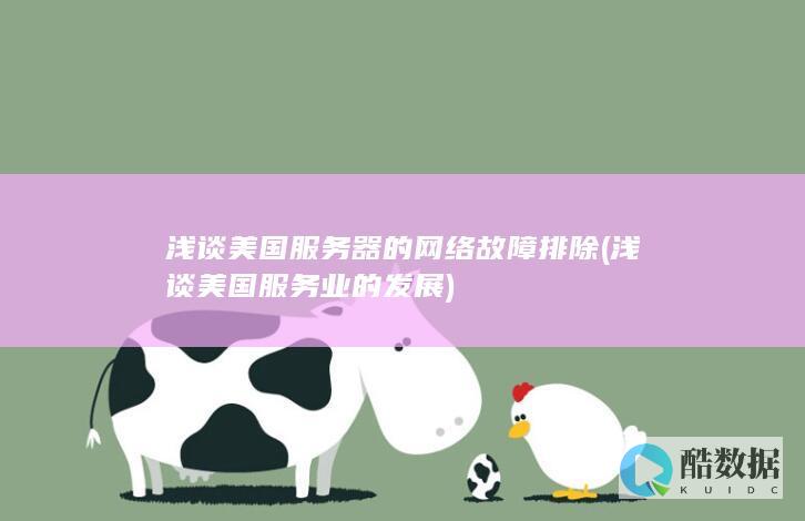 浅谈美国服务器的网络故障排除 (浅谈美国服务业的发展)