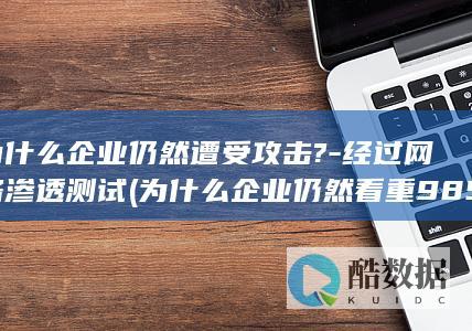 为什么企业仍然遭受攻击?-经过网络渗透测试 (为什么企业仍然看重985)