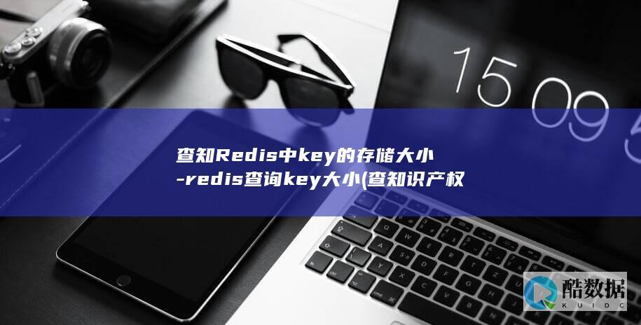 查知识产权的网站叫什么