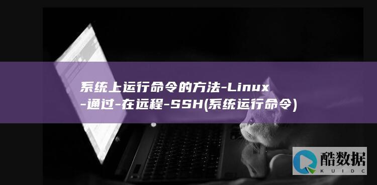 系统上运行命令的方法-Linux-通过-在远程-SSH (系统运行命令)