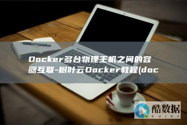 Docker多台物理主机之间的容器互联-树叶云Docker教程 (docker常用命令)