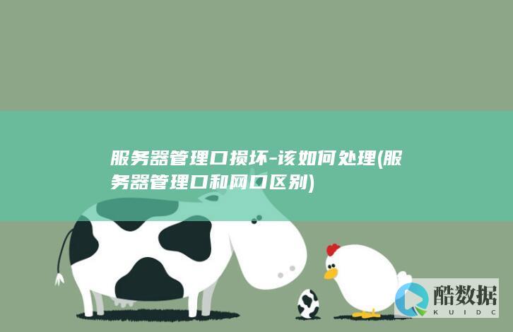 服务器管理口损坏-该如何处理 (服务器管理口和网口区别)