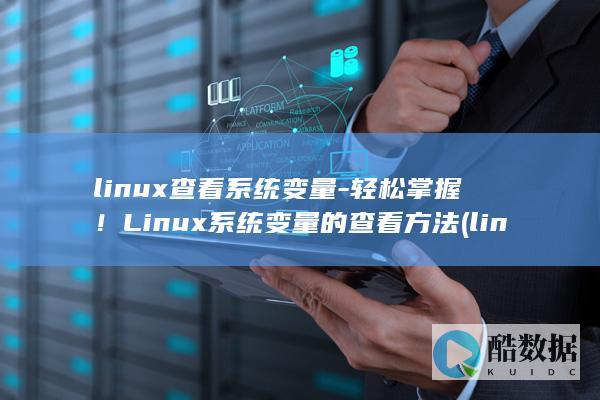 linux查看系统变量-轻松掌握！Linux系统变量的查看方法 (linux查看磁盘空间 命令)