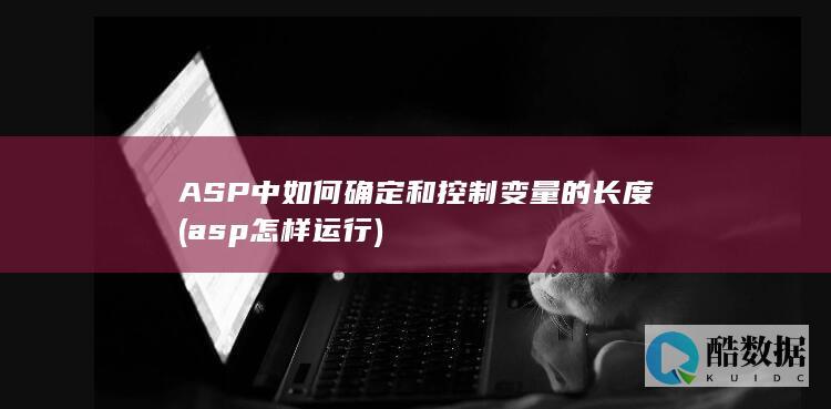 ASP中如何确定和控制变量的长度