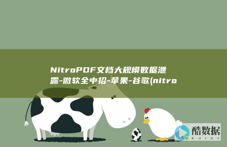 nitropro设置中文