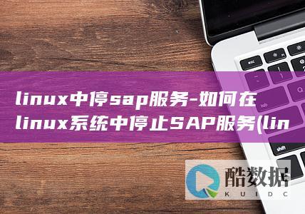 linux中停sap服务-如何在linux系统中停止SAP服务 (linux中文叫什么)