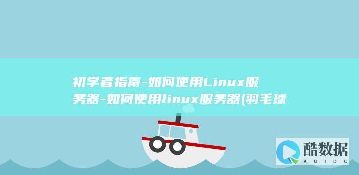 初学者指南-如何使用Linux服务器-如何使用linux服务器 (羽毛球儿童初学者指南)