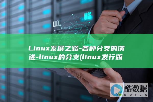 各种分支的演进