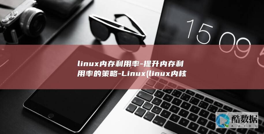 提升内存利用率的策略