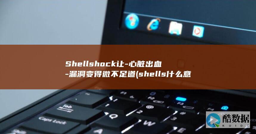 Shellshock让-心脏出血-漏洞变得微不足道 (shells什么意思)