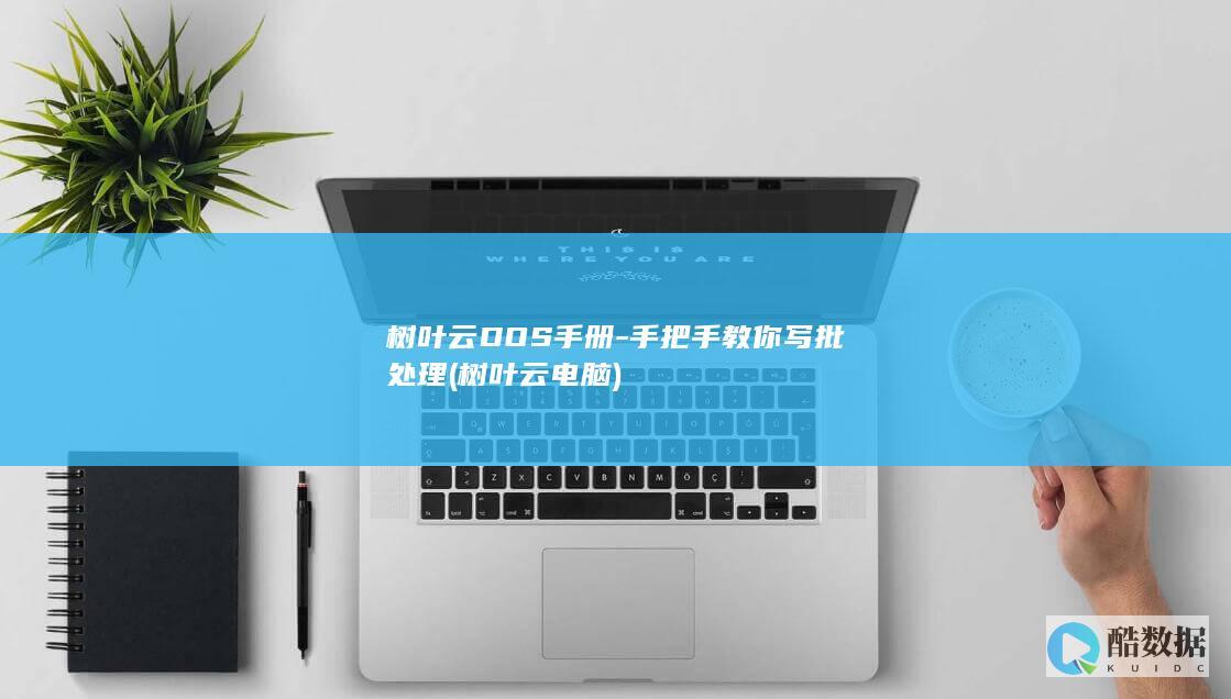 树叶云电脑
