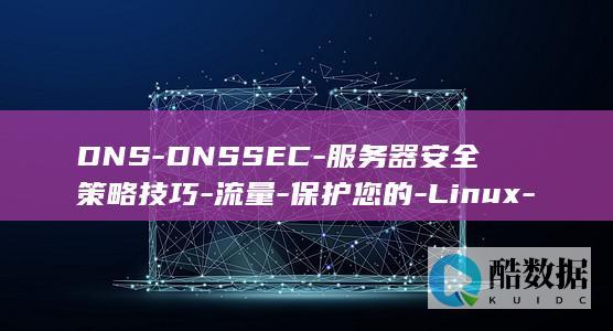 DNS-DNSSEC-服务器安全策略技巧-流量-保护您的-Linux-使用 (电脑十大耐玩单机游戏)