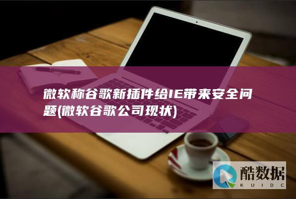 微软称谷歌新插件给IE带来安全问题