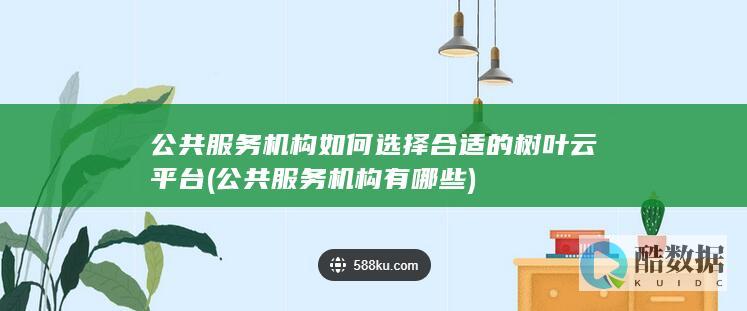 公共服务机构如何选择合适的树叶云平台