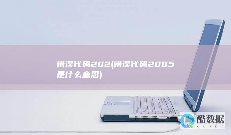 错误代码202 (错误代码2005是什么意思)