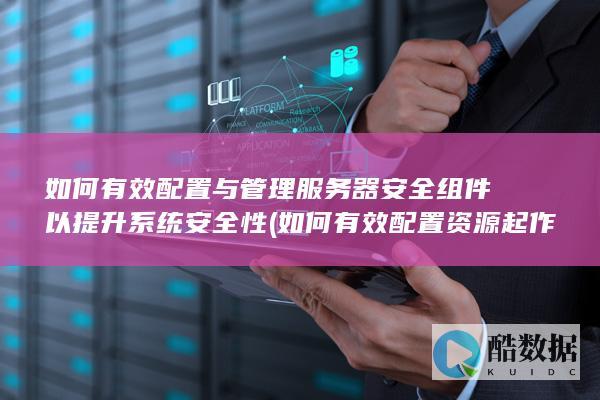 如何有效配置与管理服务器安全组件以提升系统安全性 (如何有效配置资源起作用的两个手段是)