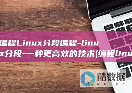 编程Linux分段编程-linux分段-一种更高效的技术 (编程linux)