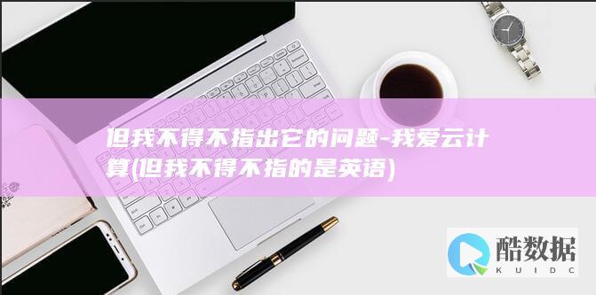 但我不得不指出它的问题