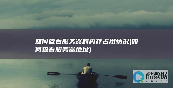 如何查看服务器的内存占用情况 (如何查看服务器地址)