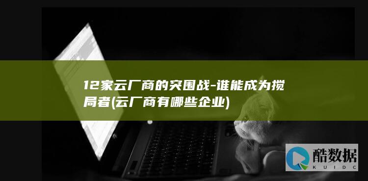 12家云厂商的突围战-谁能成为搅局者 (云厂商有哪些企业)