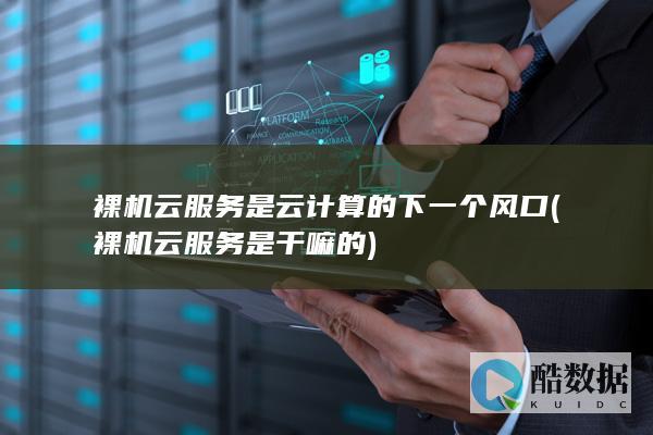 裸机云服务是云计算的下一个风口 (裸机云服务是干嘛的)