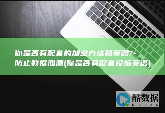 你是否有配套的加密方法和策略?-防止数据泄漏 (你是否有配套设施英语)