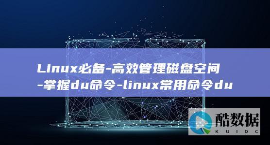 Linux必备-高效管理磁盘空间-掌握du命令-linux常用命令du (linux必学的60个命令)
