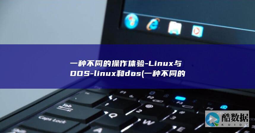 一种不同的操作系统