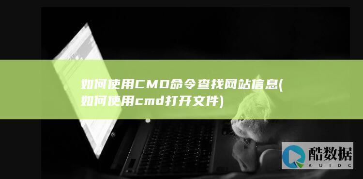 如何使用CMD命令查找网站信息 (如何使用cmd打开文件)