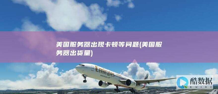 美国服务器出现卡顿等问题 (美国服务器出货量)
