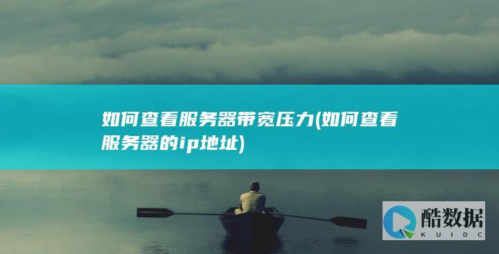如何查看服务器带宽压力 (如何查看服务器的ip地址)