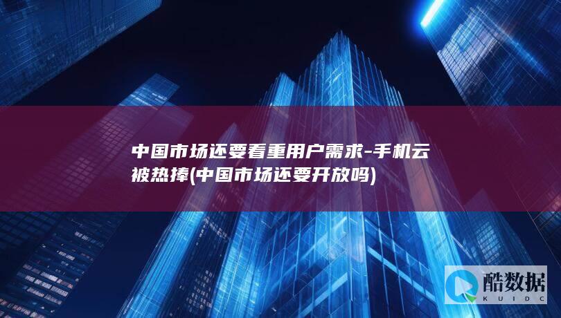 中国市场还要看重用户需求