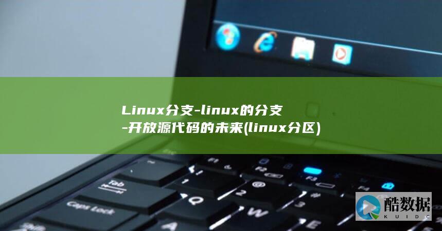 Linux分支-linux的分支-开放源代码的未来 (linux分区)