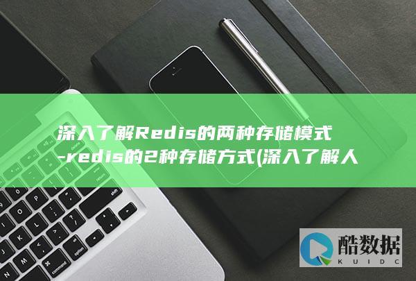 深入了解Redis的两种存储模式-redis的2种存储方式 (深入了解人力资源模块流程确保企业的什么)