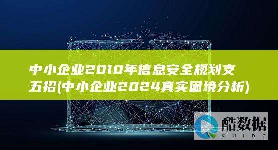 中小企业2010年信息安全规划支五招 (中小企业2024真实困境分析)
