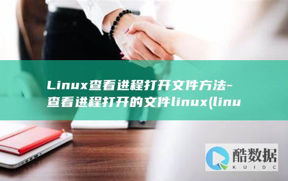 查看进程打开的文件linux
