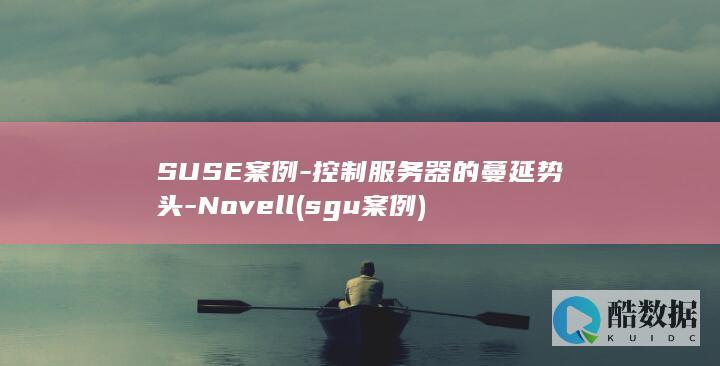 SUSE案例-控制服务器的蔓延势头-Novell (sgu案例)