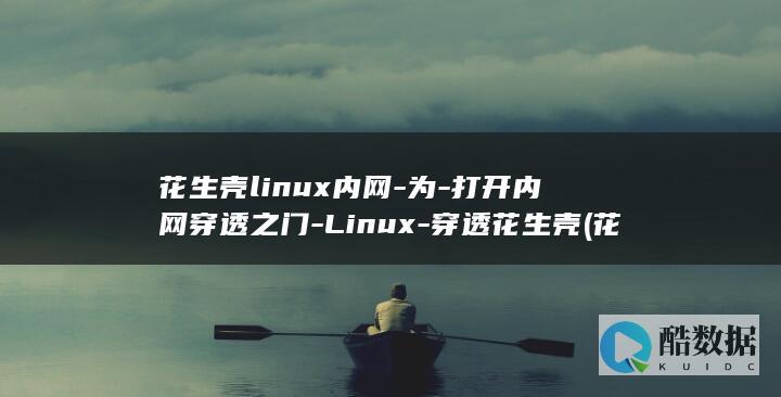 花生壳linux内网-为-打开内网穿透之门-Linux-穿透花生壳 (花生壳linux版本)