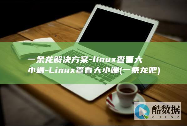 一条龙解决方案-linux查看大小端-Linux查看大小端 (一条龙吧)