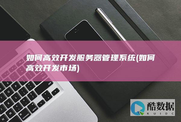 如何高效开发服务器