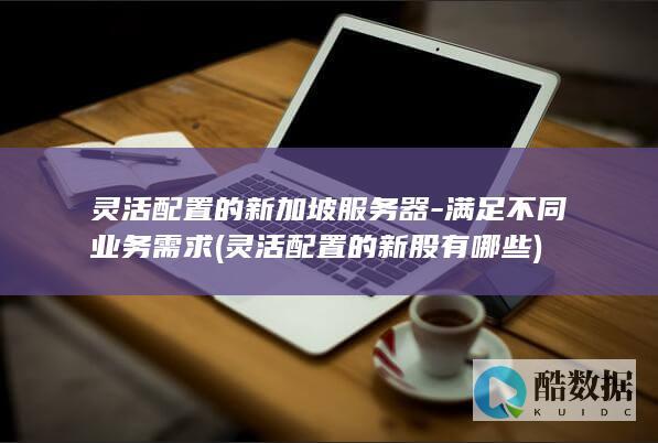 灵活配置的新加坡服务器-满足不同业务需求 (灵活配置的新股有哪些)