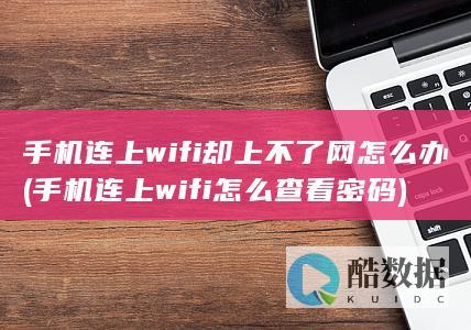 手机连上wifi却上不了网怎么办 (手机连上wifi怎么查看密码)
